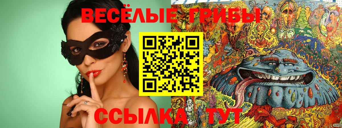 Псилоцибиновые грибы прущие грибы  Вход с VPN  Россошь 
